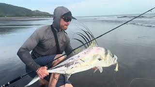 How To Rooster Fish from the Beach [upl. by Llerehc]