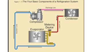 Online HVAC Training  Commercial Refrigeration [upl. by Ina]