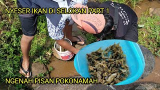 NYESER IKAN DI SELOKAN BERSAMA TEMAN SAYA [upl. by Eznyl329]