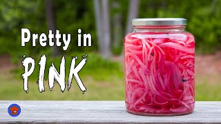 Pickled Red Onions  Homemade Condiments Series [upl. by Lesli]