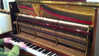 C Bechstein Piano Concert 8 [upl. by Agni125]