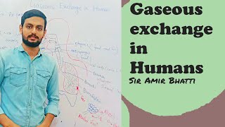 Gaseous exchange in animalsbiologybreathingGasAmirBhattiv9s [upl. by Selwyn]