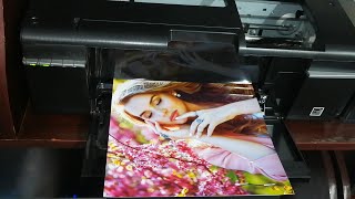 A4 Size Borderless Photo Print with Epson Eco Tank L805 4K [upl. by Meara730]