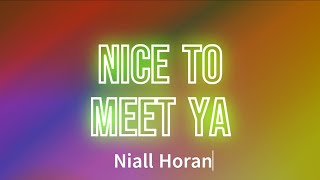 Niall Horan  Nice To Meet Ya Lyrics [upl. by Legnaleugim]