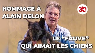 Notre hommage à Alain Delon [upl. by Themis]