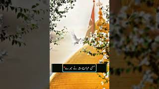 Sona lagda Ali vala Qaseda ha Mera Imam Hussain wawalia Nadeem sarwar Noha growupmyaccount rajab [upl. by Vikky]