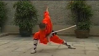 Shaolin Kung Fu weapon breezing sword [upl. by Quinton831]