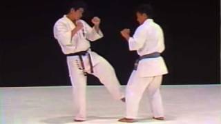 kyokushin karate bible 7 of 7 [upl. by Nahsyar]