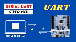 Serial UART with STM32 MicrocontrollerTransmit and Receive Data [upl. by Agler]