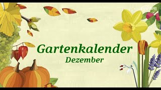 MDR Gartenkalender für Dezember Gartentipps für den Winter  MDR Garten [upl. by Nesyla680]