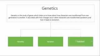 Basics of Genetics Hindi [upl. by Timoteo]