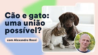 Como socializar gatos com cães Alexandre Rossi explica  Petz TV Comportamento [upl. by Asenaj]