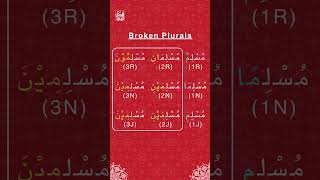 Learn Quran Arabic  27 learnarabic quranarabictext quranstudies arabiclanguage [upl. by Froemming121]