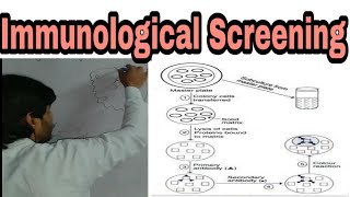 Screening Techniques part E immunological screening rDNA technology lecture 5 [upl. by Enicnarf769]