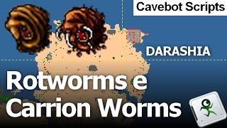 CAVEBOT SCRIPT Darashia  Cave Nordeste  Rotworms amp Carrion Worm  All Vocation  ElfBot [upl. by Nnov325]