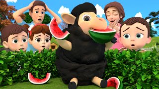 Baa Baa Black Sheep Song  More Nursery Rhymes amp Kids Songs  Lalafun [upl. by Ammadis]