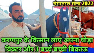 करणपुर के किसान लाए अपना विक्टर घोड़ा और 3 बच्चे बच्ची बिकाऊ।। Ganganagar horse Mela 2022।। [upl. by Calandra16]