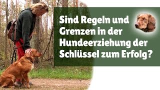 Hundeerziehung ► Sind Regeln und Grenzen in der Hundeerziehung der Schlüssel zum Erfolg [upl. by Anwahsiek95]