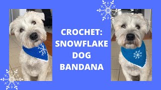 Crochet Snowflake Dog Bandana [upl. by Spiegelman759]