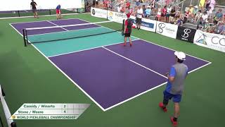 World Pickleball Championship  Day 2  Center Court  Mens Doubles Pro [upl. by Eniawed522]