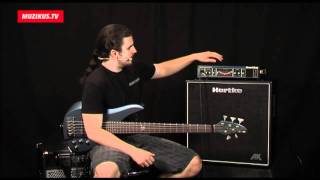 Hartke HA3500 a AK 410 Marek Haruštiak [upl. by Faustina]