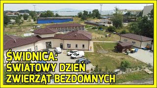 Region Światowy Dzień Zwierząt Bezdomnych [upl. by Hansen]