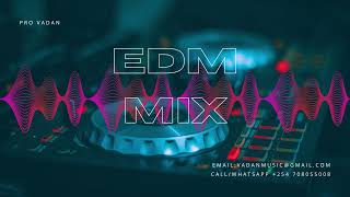 Music Mix 2024 🎧 EDM Remixes of Popular Songs 🎧 EDM Music Mix ​ [upl. by Emee271]