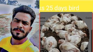 New Broiler Check latest video Spot Broiler Chicken PK Sultania Farming 🐔🐔🐔🐔🐔 [upl. by Ayekal560]