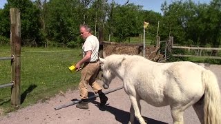 Homemade Permanent Horse Paddock Fencing [upl. by Tewell690]