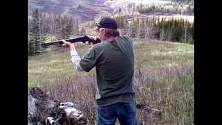 Henry 4570 Lever Action Rifle [upl. by Arocahs]