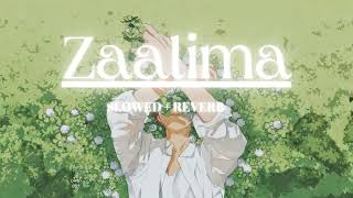 Zaalima  Slowed Reverb  Raees  Arjit SinghHarshdeep Kaur sharukh khan Zaalima lyrics [upl. by Enegue]