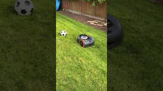 Segway Navimow i110 Obstacle Avoidance using its Vision Fence Camera [upl. by Sassan185]