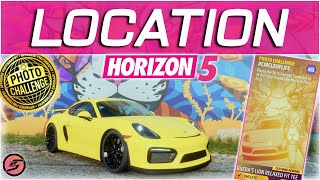 Farid Rueda Lion Mural LOCATION Forza Horizon 5 Photo Challenge CIRCLEOFLIFE Summer Series 6 [upl. by Ahsatsan]