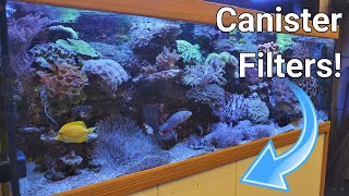 Saltwater Aquarium With Canister Filter [upl. by Enomar]