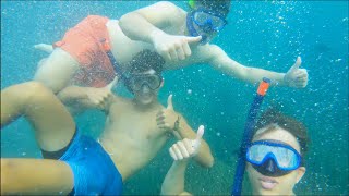 Snorkeling in TABARCA Island  Summer Trip [upl. by Gnagflow519]