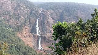 Breathtaking Barehipani Waterfall at Simlipal Tiger Reserve Forest [upl. by Onimixam]