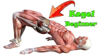 simple kegel exercise for beginner step by step [upl. by Airotal]