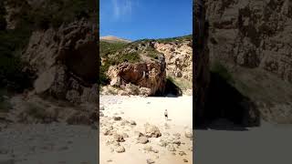 Praia do Cavalo sesimbra shorts praias portugal beach [upl. by Pippo489]