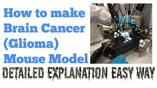 Xenograft Glioma Mouse Model Brain Cancer Model  Research Technique  Dr Abi Greek [upl. by Maurey]