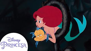 La Sirenita salva a Flounder de un tiburón  Disney Princesa [upl. by Leith]