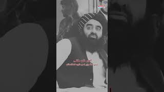 امیرخانمتقی طالبان امارتاسلامی islamicemirate taliban talibanleader afghanistan iran afg [upl. by Onileva]