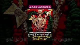 திருச்செந்தூர் முருகன் அருள் வாக்கு  Tiruchendur Murugan Temple lordmurugan tamil god ஓம்சரவணபவ [upl. by Iglesias]