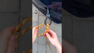 Very strong trailer hitch for all drivers must know knot shorts [upl. by Anyaled]