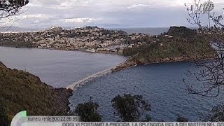 Procida La riserva naturale di Vivara [upl. by Laird]