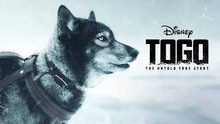 Togo 2019 Movie  Willem Dafoe Ericson Core  Walt Disney Studios Togo Movie Full Facts Review HD [upl. by Idnaj523]