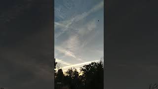 Stratospheric aerosol injection 24 hours a day for last 3 days garden sky [upl. by Chamkis]