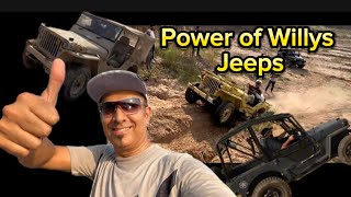 Only Willys Jeeps  OffRoading Like You’ve Never Seen  Vintage Power in Action  OffRoad Kings [upl. by Maryn]