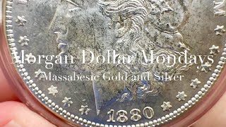 PVC  ENVIRONMENTAL DAMAGE  “MORGAN DOLLAR MONDAYS” with MASSABESIC GOLD and SILVER [upl. by Ancelin159]