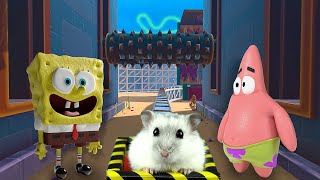 Hamster in Roller Coaster Maze with Sponge Bob Glove World Expresso [upl. by Etnuaed]