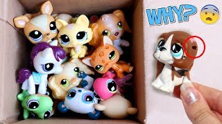 Unboxing LPS They Sent Me A Broken Pet [upl. by Geddes287]